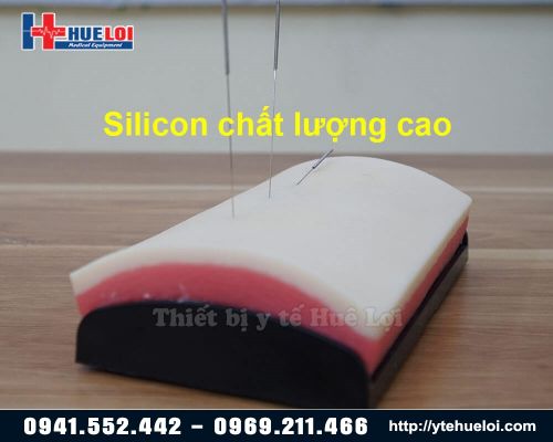 Mô hình da thực hành châm cứu