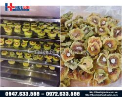 https://ytehueloi.com/image/cache/catalog/tu-say-1-cua-22-tang/duoc-lieu-truoc-va-sau-khi-say-250x200.jpg
