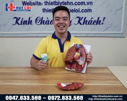 Mô hình giải phẫu Tim Phổi