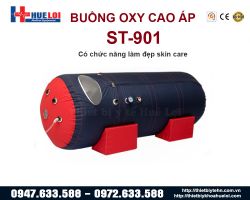 https://ytehueloi.com/image/cache/catalog/v1/buong-oxy-ap-suat-cao/buong-oxy-cao-ap-250x200.jpg