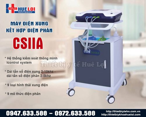 Máy điện xung kết hợp điện phân ZP-100 CSIIA