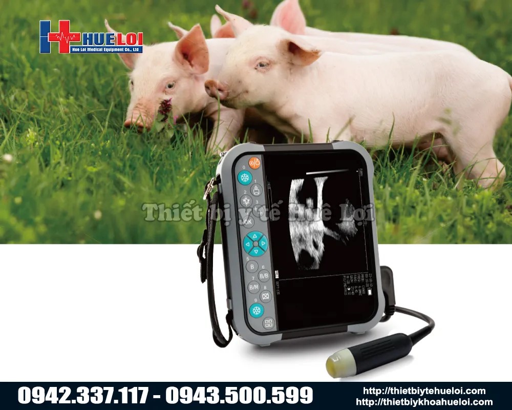 M&aacute;y si&ecirc;u &acirc;m th&uacute; y cầm tay gi&aacute; rẻ