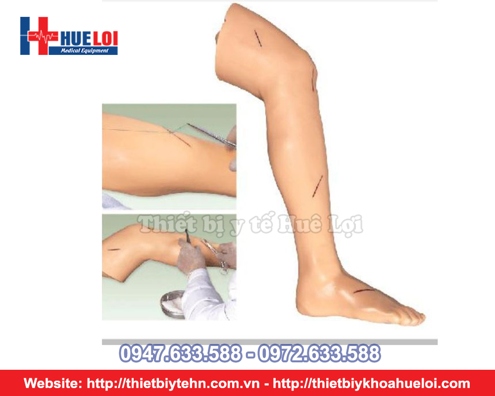 mô hình thực hành phẫu thuật và khâu da chi dưới