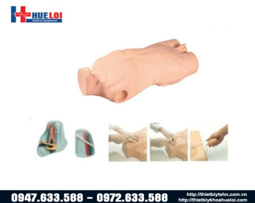 mô hình tiêm truyền tĩnh mạch cảnh và đùi