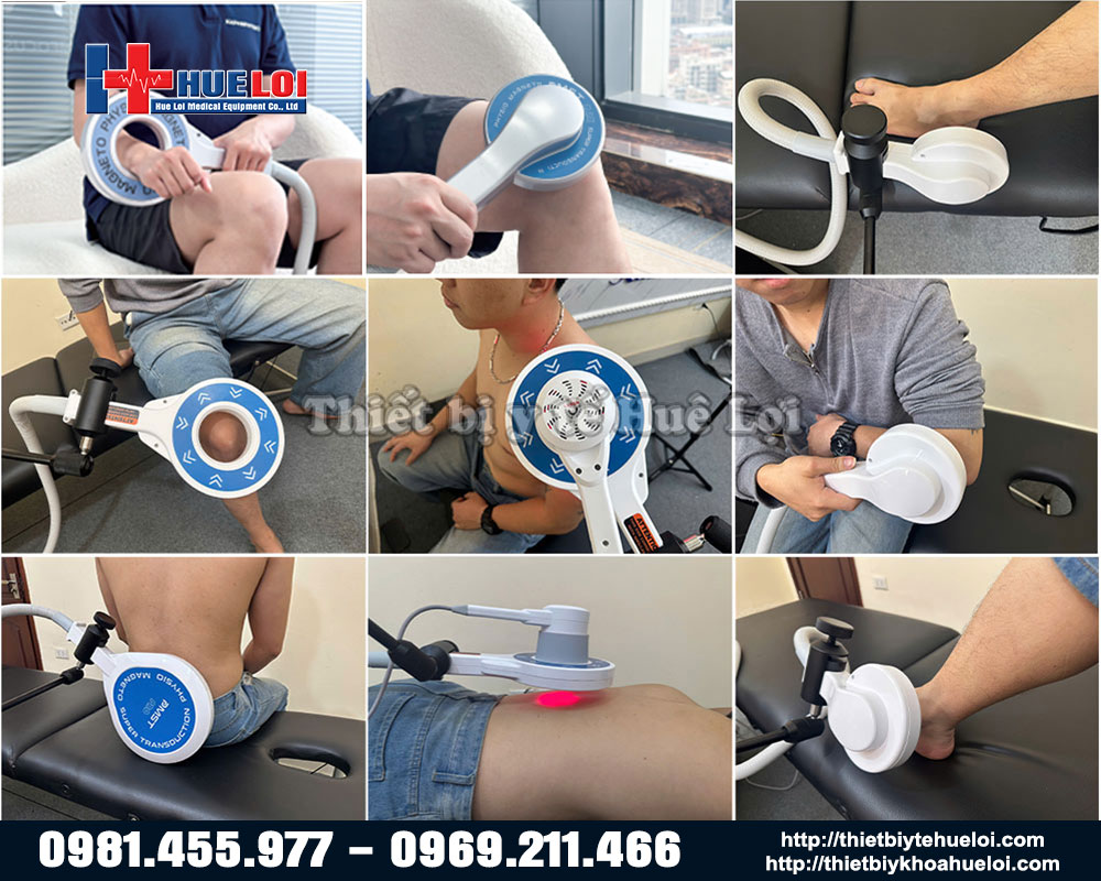 các vùng điều trị của máy từ trường