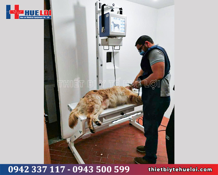 máy x-quang tần số cao cho thú y giá rẻ