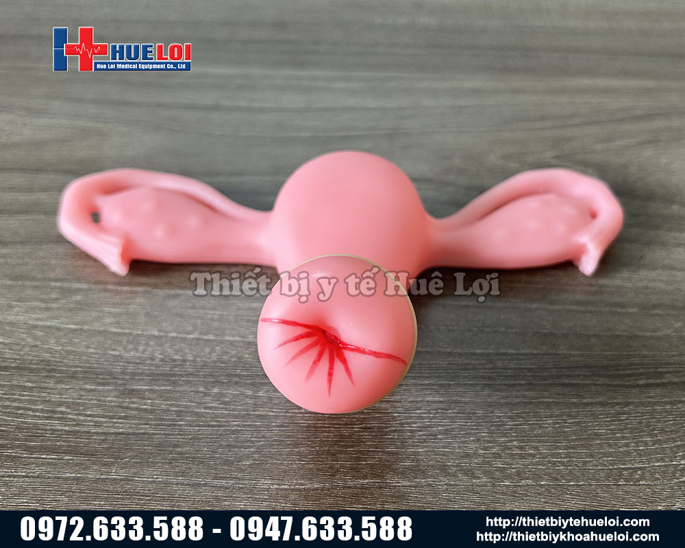 thực hành khám phụ khoa