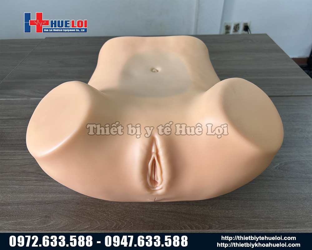 mô hình thăm khám phụ khoa