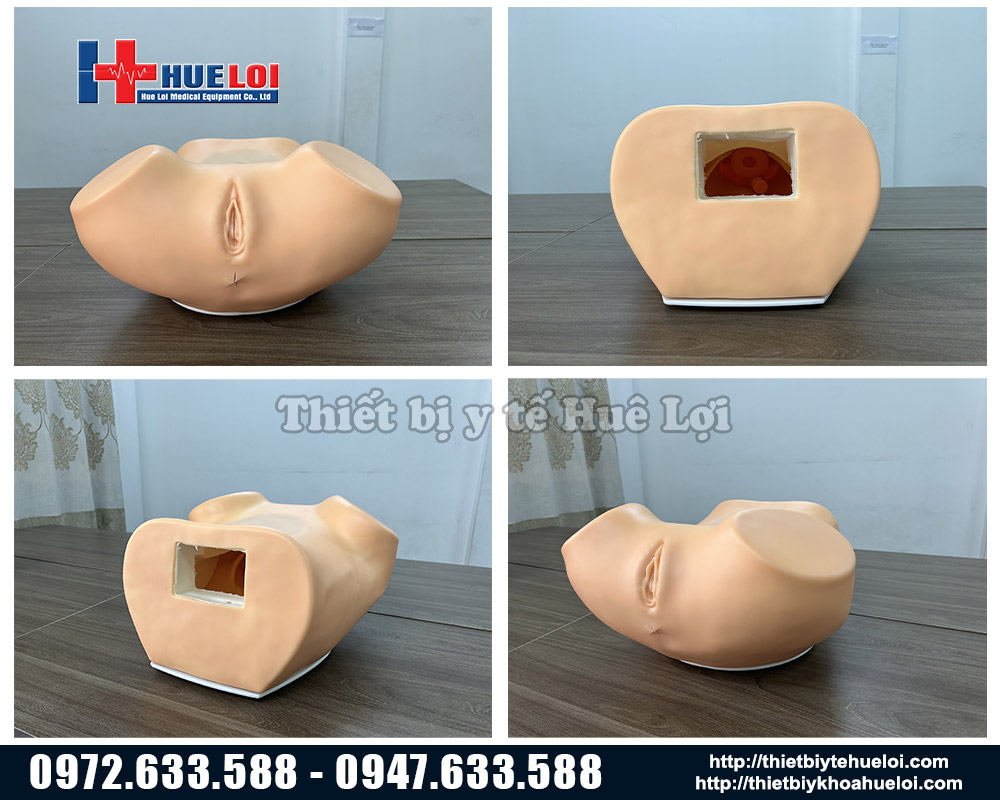 mô hình thực hành khám phụ khoa
