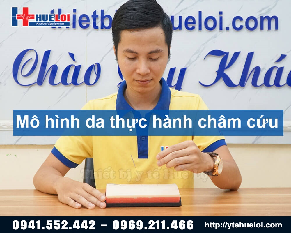 mô hình châm cứu da người