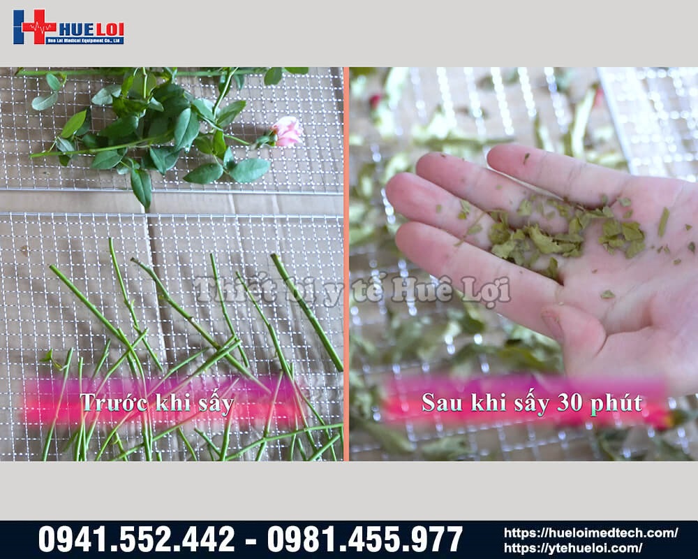 sấy khô dược liệu