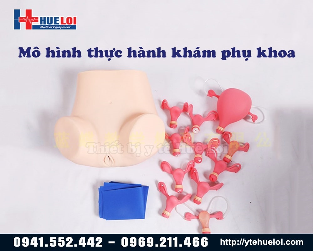 mô hình thực hành khám phụ khoa và tử cung