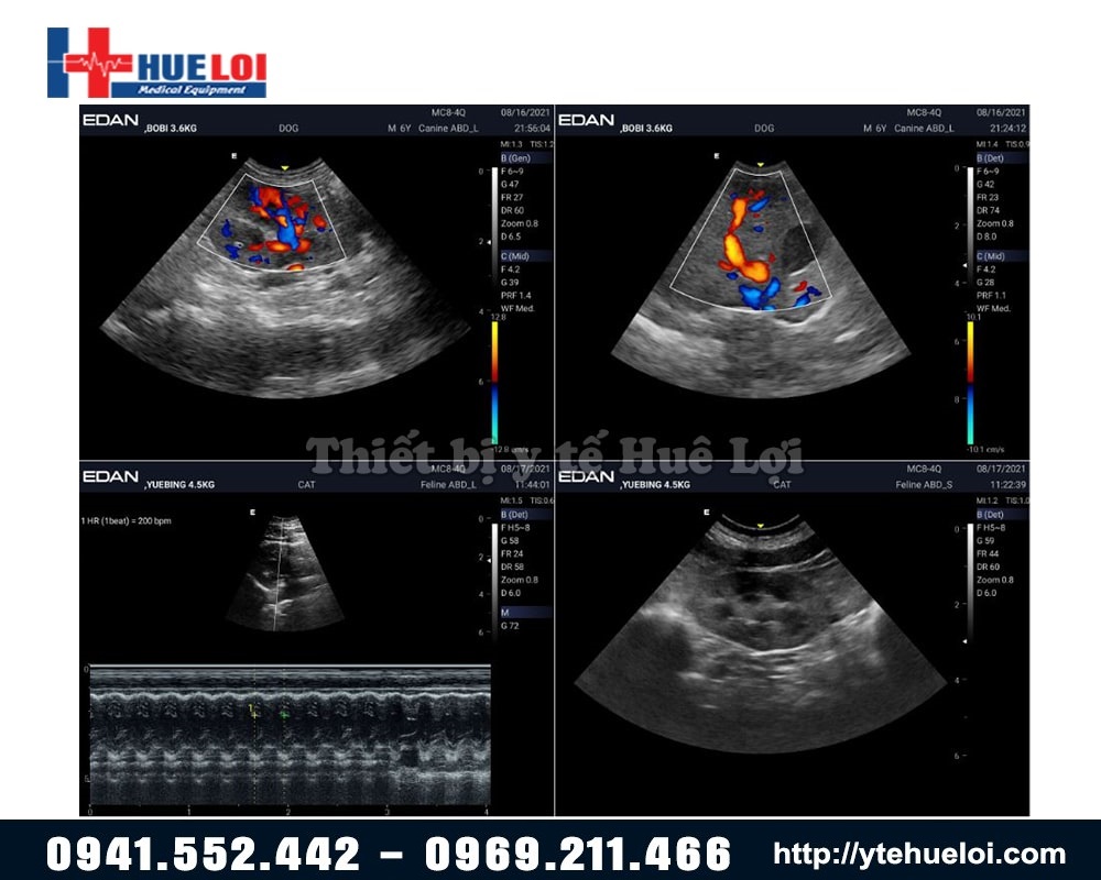 chất lượng hình ảnh máy siêu âm edan ax3 vet